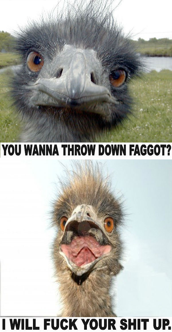 angry emu