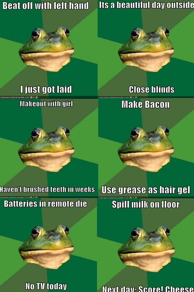 Memes Frog