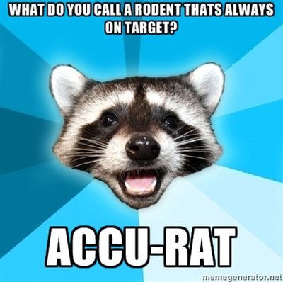 Pun Coon