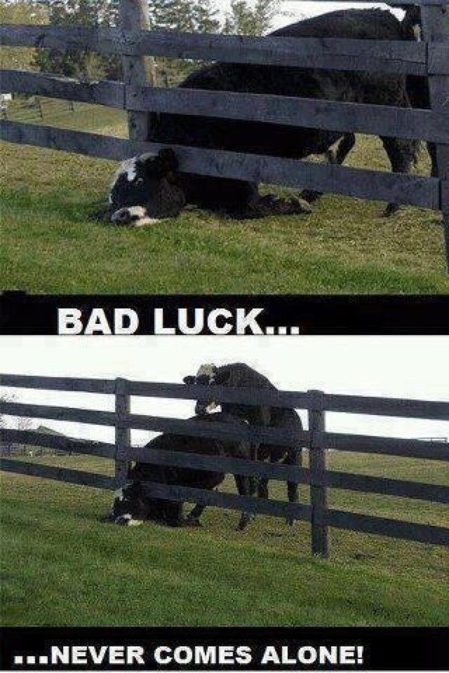 Bad+luck.+Don+t+know+if+it+s+a+repost...
