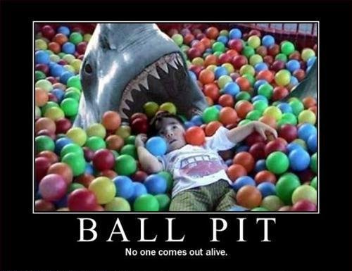 Ball Pit Shark