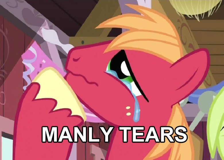 My little pony: Friendship is magic - S2E18 : A Friend In Deed Big+Mac+Tears_77f6cc_3212661