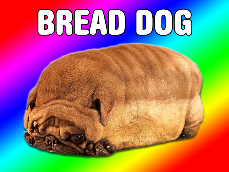 Bread dog