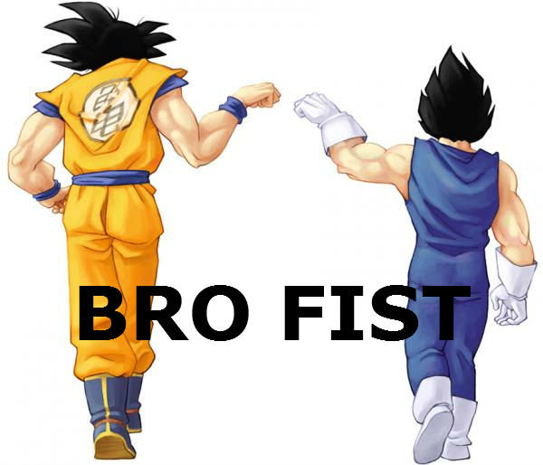 Bro Fist