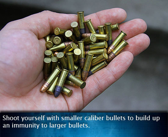 Bullets_c00c81_5331378.jpg