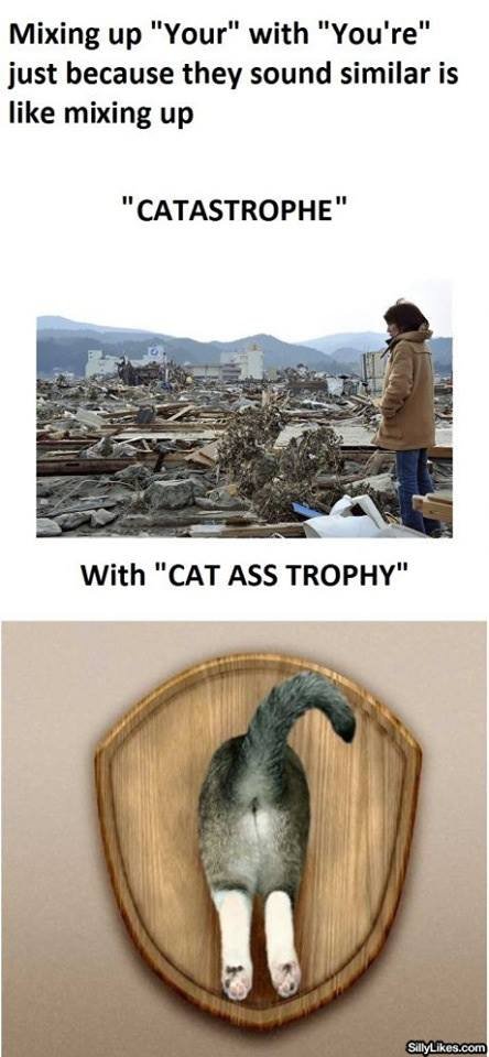 Cat+Ass+Trophy_df7feb_4738948.jpg
