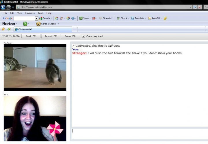 ...2485, 3 us on tits bird we query ahhh chatroulette flash bird-chatroulet...