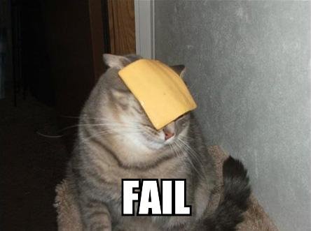 Funny Cheesehead Pictures