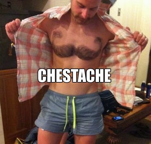 Chestache.+So+when+he+doesn+t+shave+what+is+he+a_b1eca8_3651206.jpeg