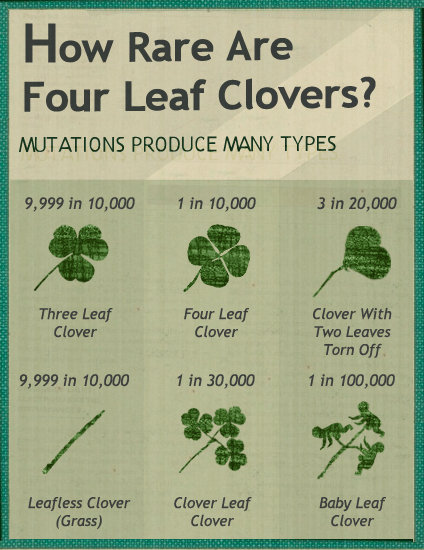 clover