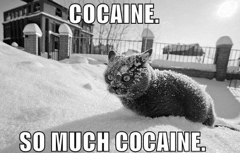 Cocaine_13be83_1287136.jpg