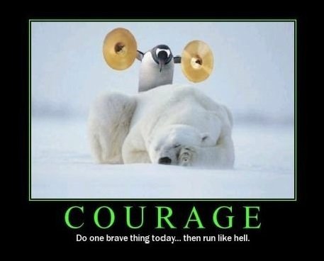 Courage+courageous+funny+penguin_7fdea6_5107814.jpg