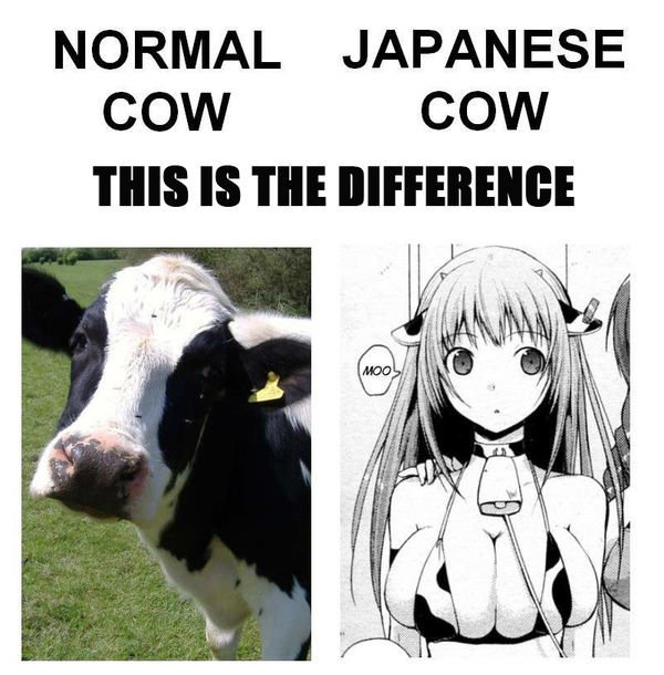 Moo