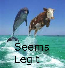 Cow And Dolphin