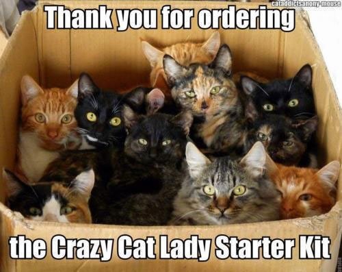 Crazy+Cat+Lady+Starter+Kit_bbac10_4080149.jpg
