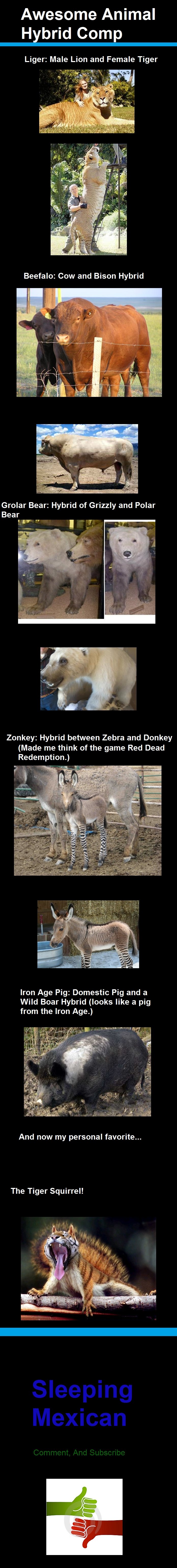 crazy animal hybrids