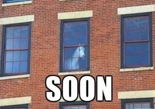 Creepy+Horse....+Kate+Upton+Booby+Gallery+theleek.com+2012+10+kate-uptons-boobs-have-many-hidden-talents+You+re+welcome_c414ca_4291155.jpg