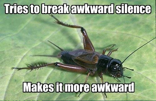 Image result for crickets chirping