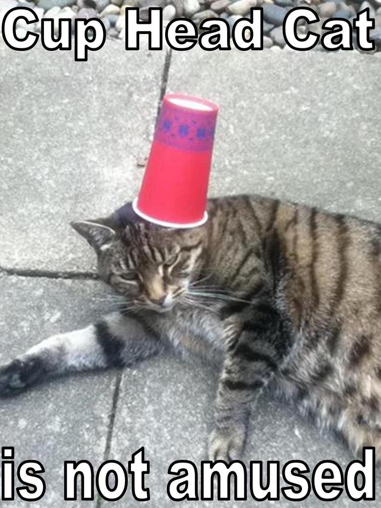 cup head