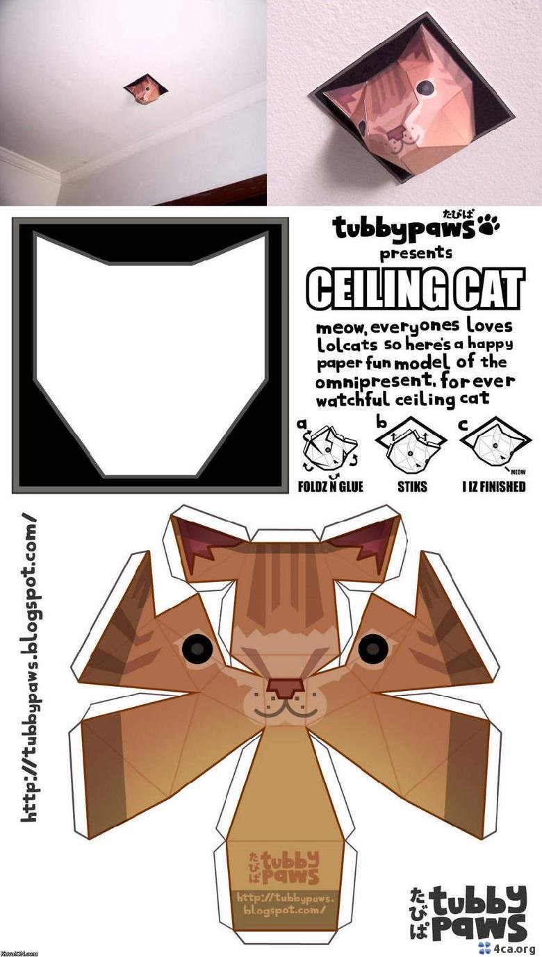 Ceiling Cat Gif