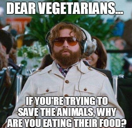 Dear+vegetarians_e429a9_4622395.jpg