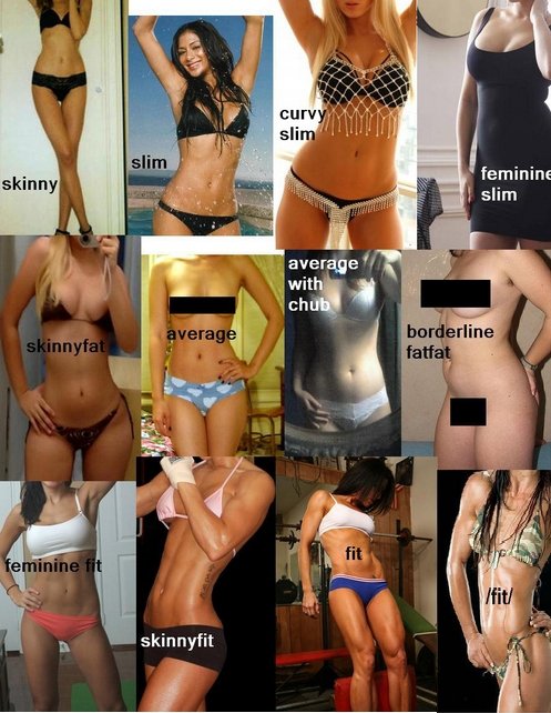Women+body+types