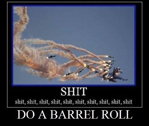 Do+a+barrel+roll_3471d0_3626033.jpg