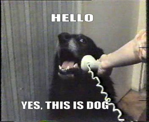 Dog Phone Call. found of a site. YES, THIS IS 'h