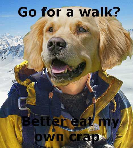 Dog Grylls