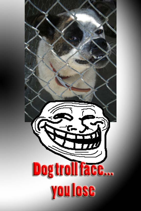 Troll Face Dog