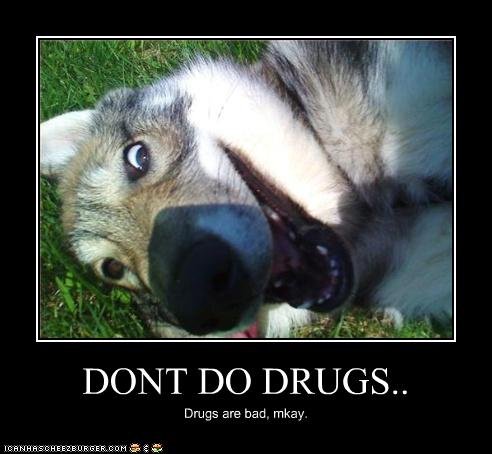 Dont do drugs.. Drugs are bad.... Mkay.<br /> Peace!. DONT DO DRUGS.. Drugs are bad mkay. downers, man
