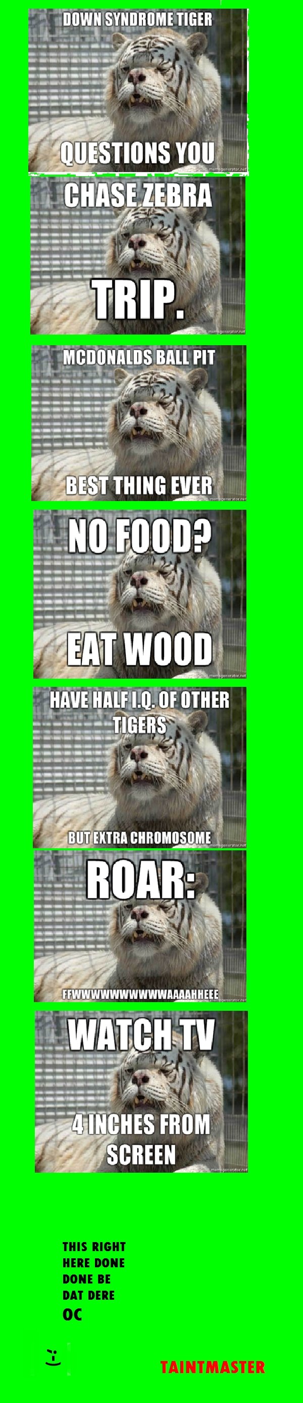 downsindrome tiger