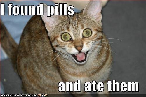 The Cat Drug