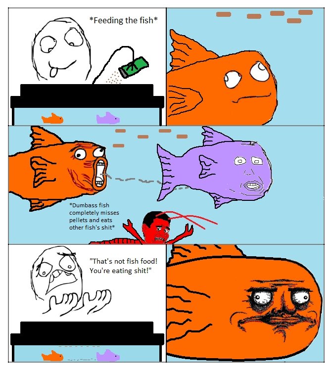 Dumb Fish