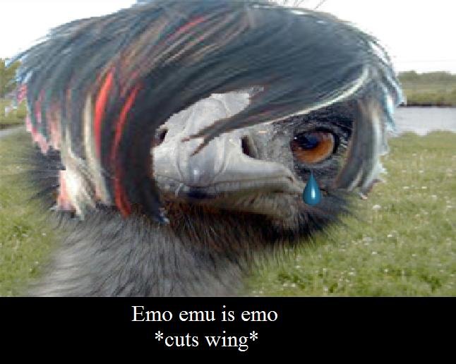Animated Emu