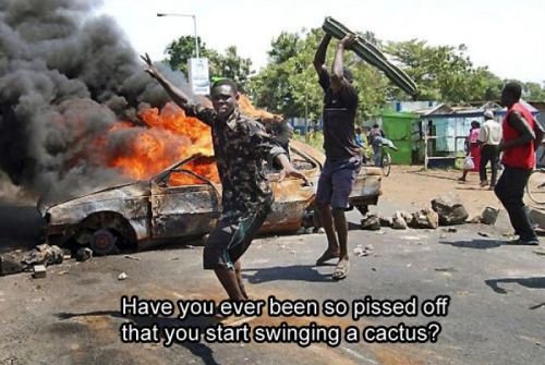 man swinging cactus