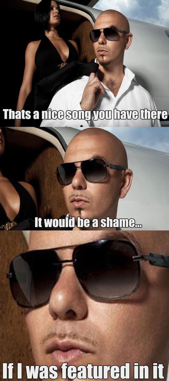 Every+Pitbull+Song+Ever.+Every+Pitbull+S