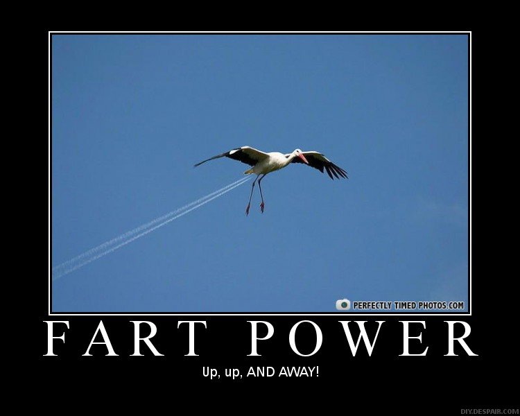 Fart_a84d72_211950.jpg