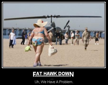 Fat Hawk