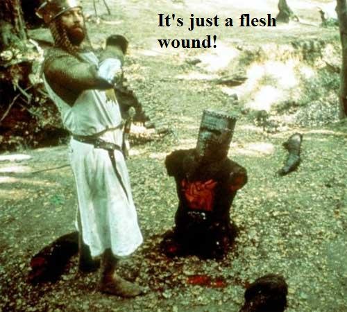 Image result for it's merely a flesh wound gif