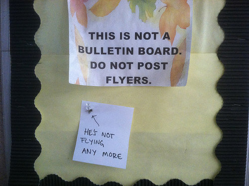 Fly Flyers