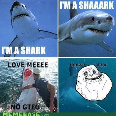 forever alone shark