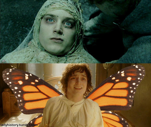 Spam Tema.... - Page 5 Frodo+is+a+butterfly.+If+you+read+this+you+lose_f53fb0_3604404