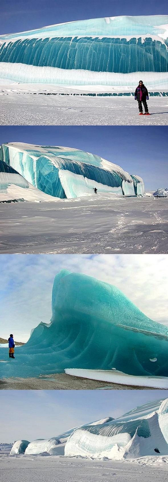 Antarctic Waves