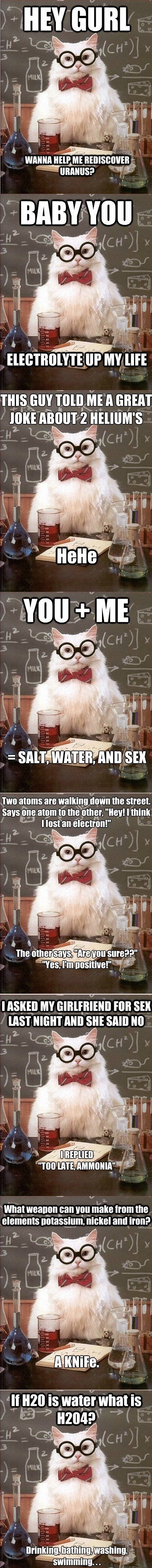 Chemistry Cat