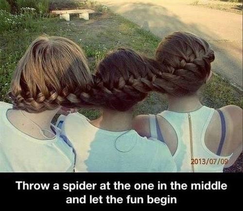 Fun+with+spiders_bbb3e7_4776522.jpg