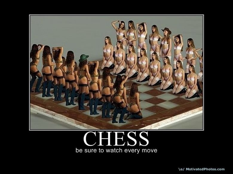 Funny Chess Prt. 2. check out my profile for more funny stuff. be sure to watch every move aux PH itns. ¢:. Please tell me where the I can buy this