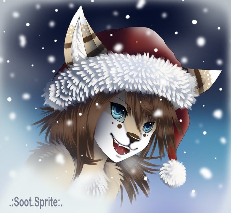 http://static.fjcdn.com/pictures/Furry+Christmas+desc+.+All+us+furs+wanna+wish+you+all_0e1431_3077085.jpg