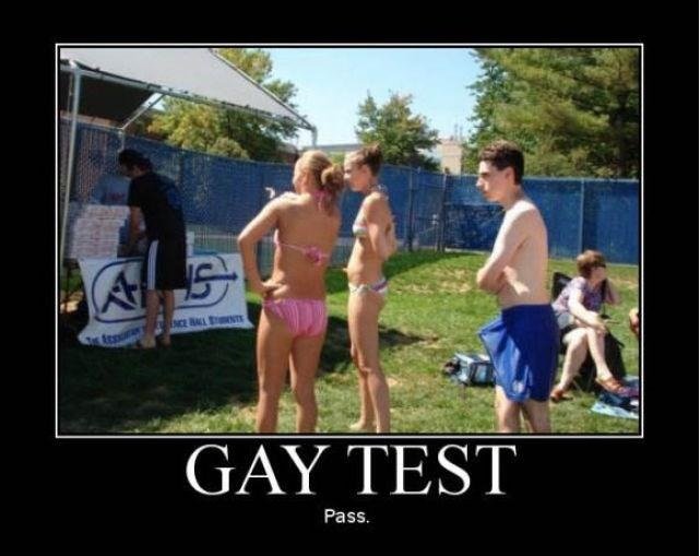 The Gay Test Funnyjunk