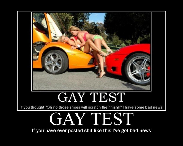 The Gay Test